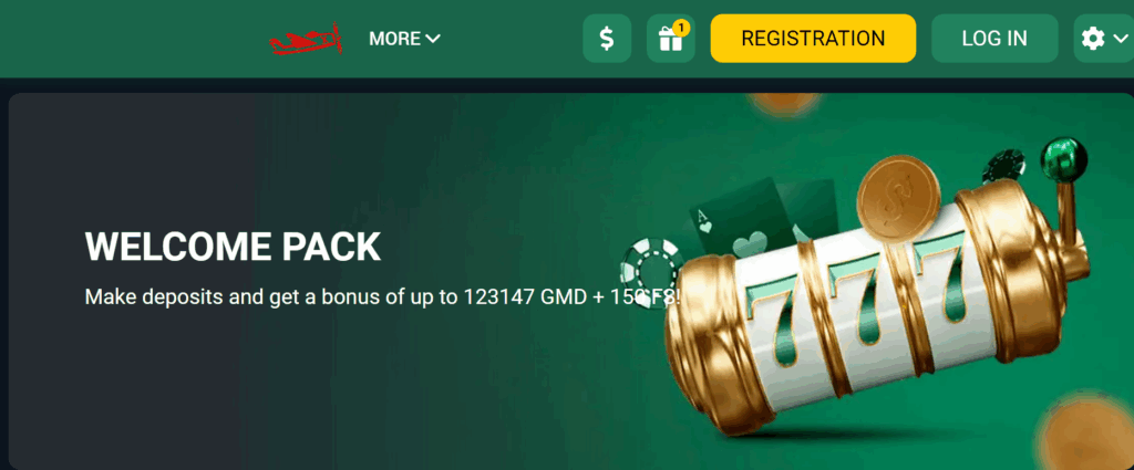 Terms and conditions of the bonus for registration